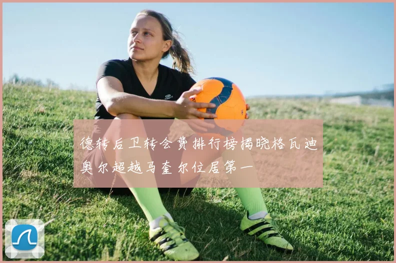 德转后卫转会费排行榜揭晓格瓦迪奥尔超越马奎尔位居第一